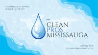 Clean Pros Mississauga image 2